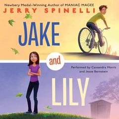 Jake and Lily Audiobook, by Jerry Spinelli