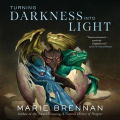 Turning Darkness Into Light Audiobook, by Marie Brennan
