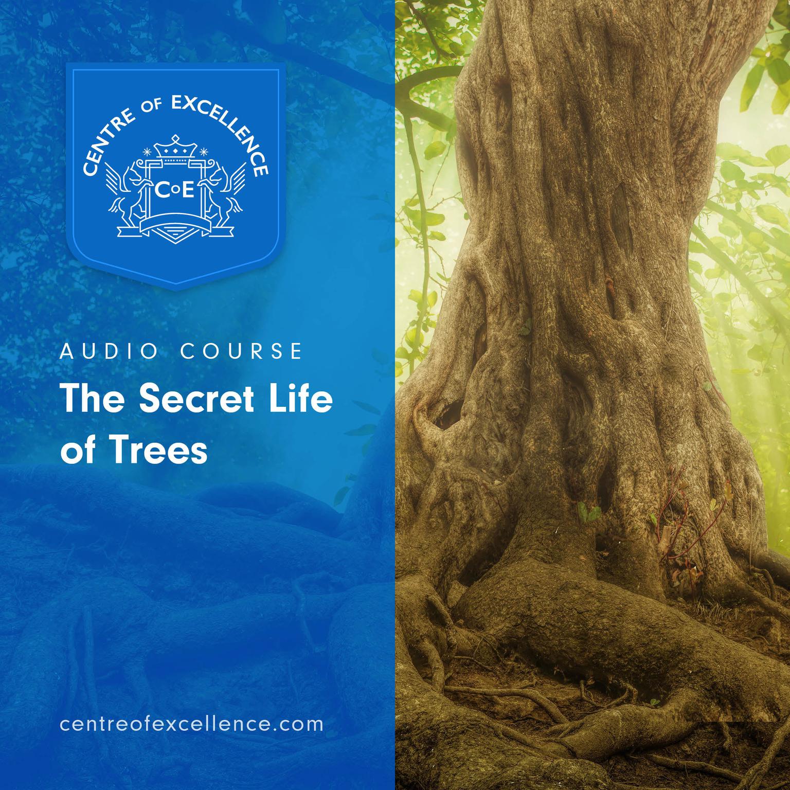 The Secret Life of Trees Audiobook, by Centre of Excellence