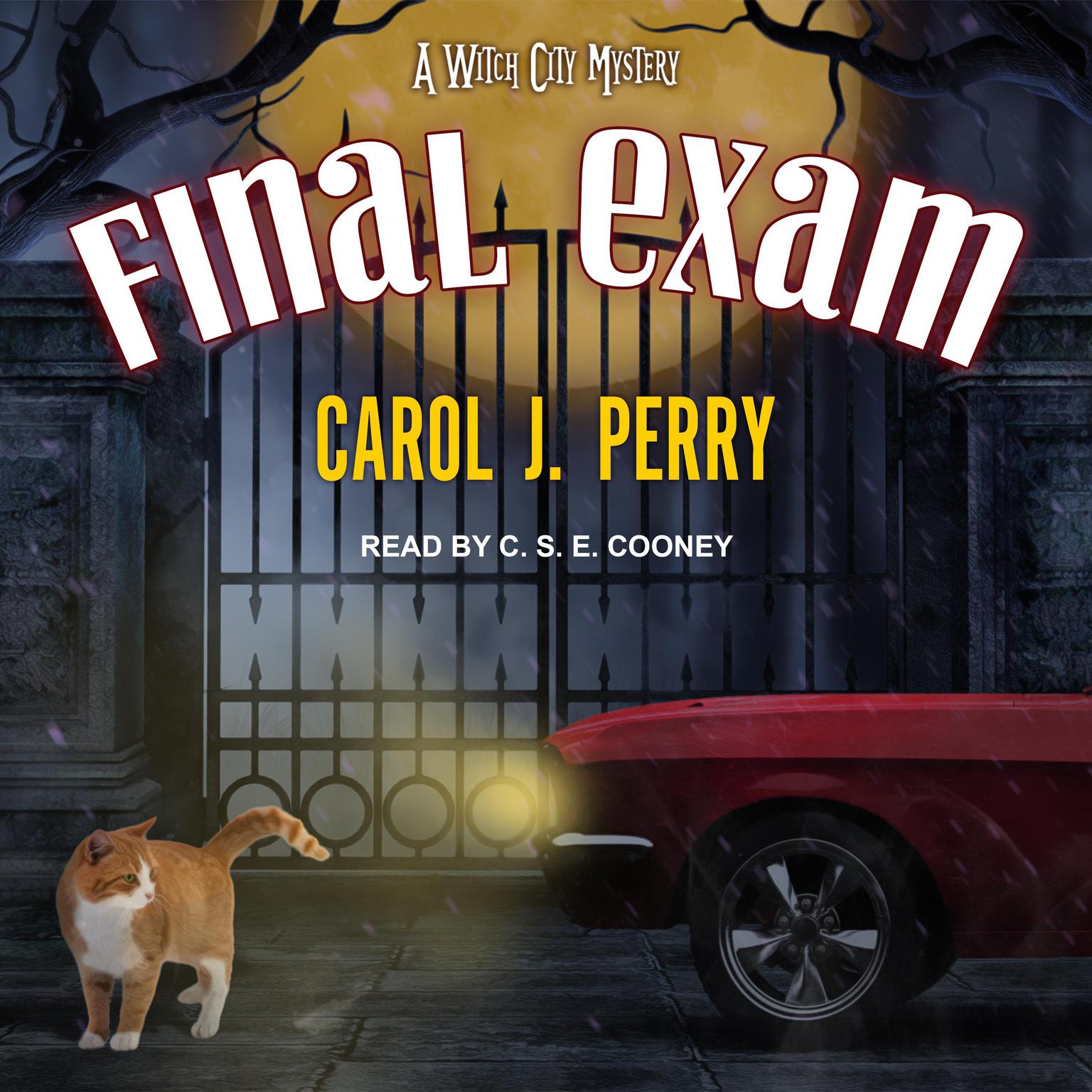 Final Exam Audiobook, by Carol J. Perry