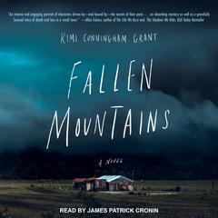 Fallen Mountains Audiobook, by Kimi Cunningham Grant