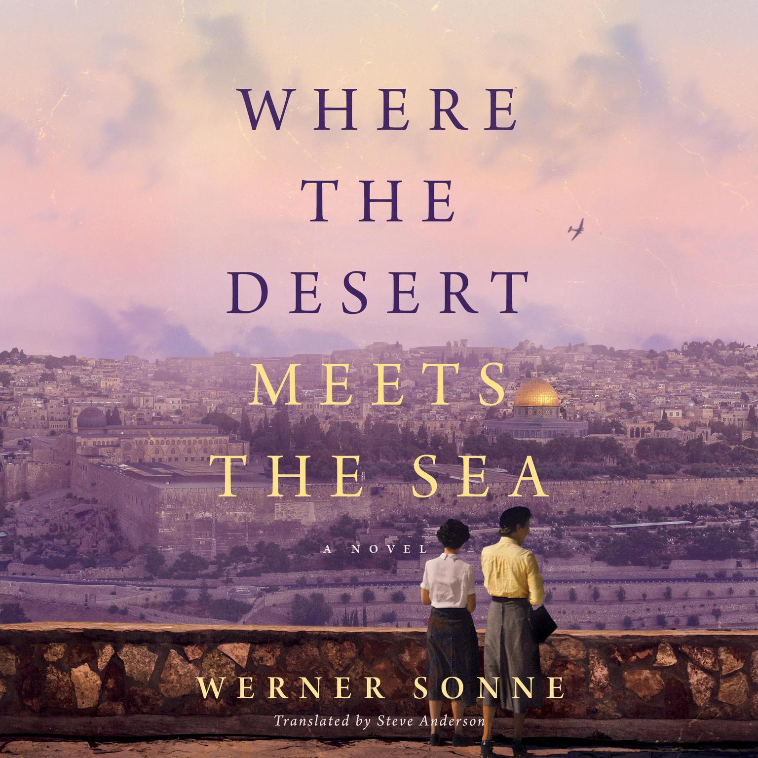 Where the Desert Meets the Sea: A Novel Audiobook, by Werner Sonne