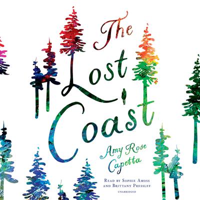 The Lost Coast Audiobook, by Amy Rose Capetta