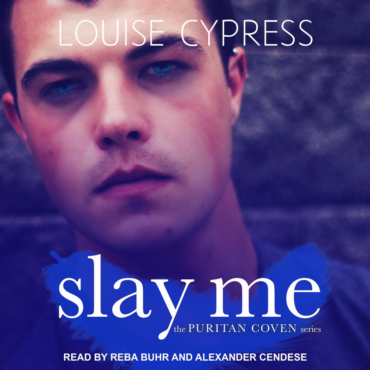 Slay Me Audiobook, by Louise Cypress