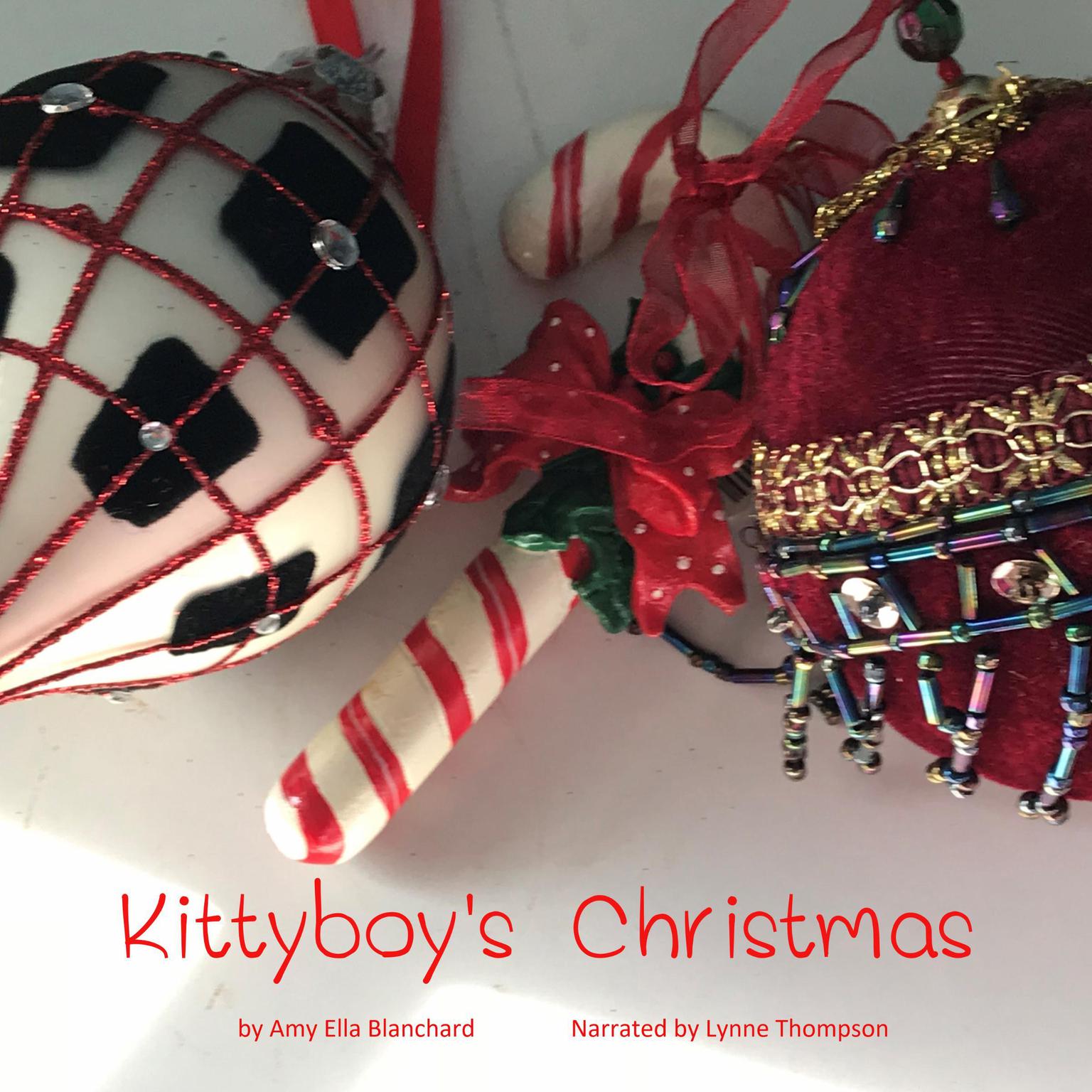 Kittyboys Christmas Audiobook, by Amy Ella Blanchard