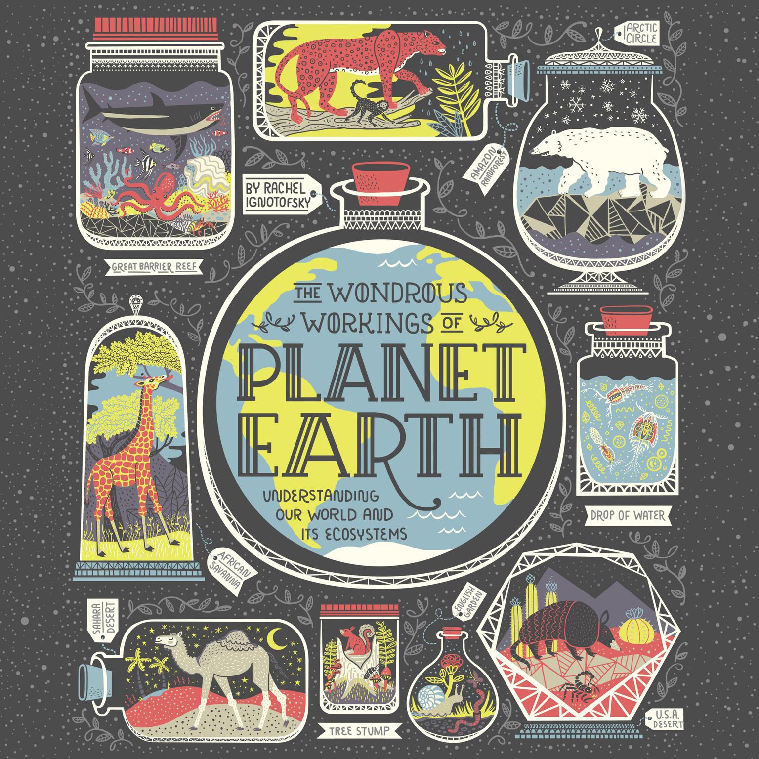 The Wondrous Workings of Planet Earth: Understanding Our World and Its Ecosystems Audiobook, by Rachel Ignotofsky