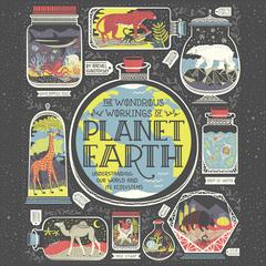 The Wondrous Workings of Planet Earth: Understanding Our World and Its Ecosystems Audiobook, by Rachel Ignotofsky