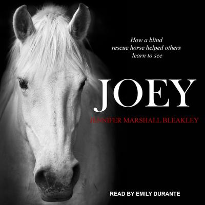 Joey: How a Blind Rescue Horse Helped Others Learn to See Audiobook, by Jennifer Marshall Bleakley