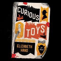 Curious Toys Audiobook, by Elizabeth Hand