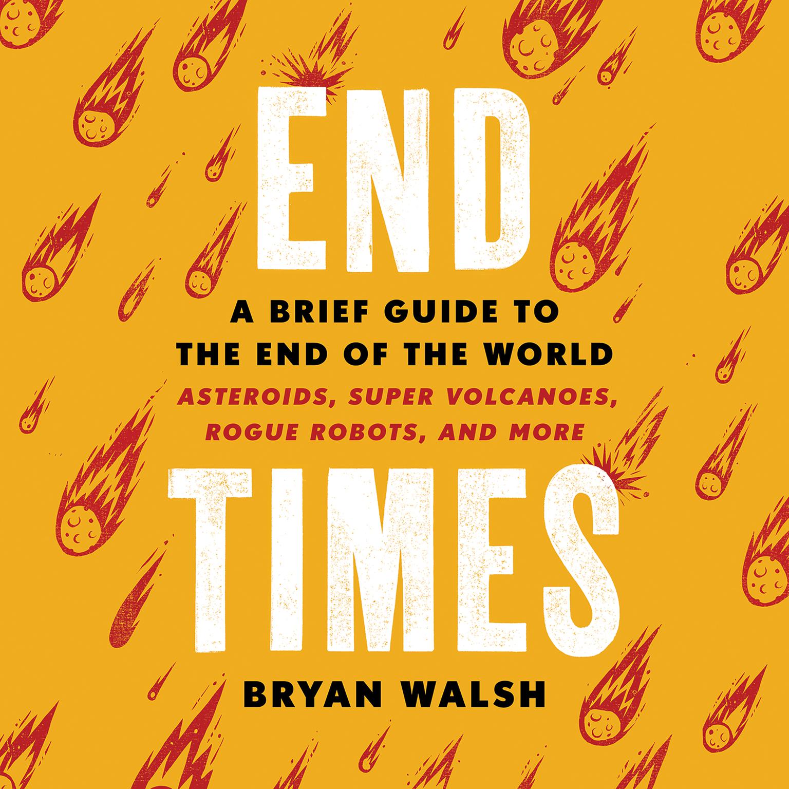 End Times: A Brief Guide to the End of the World Audiobook, by Bryan Walsh