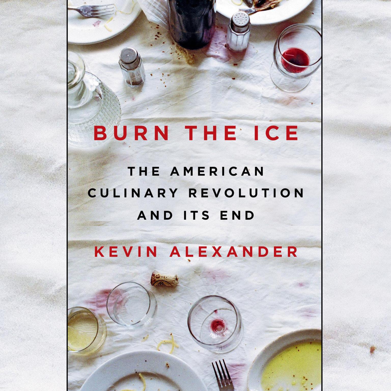 Burn the Ice: The American Culinary Revolution and Its End Audiobook, by Kevin Alexander