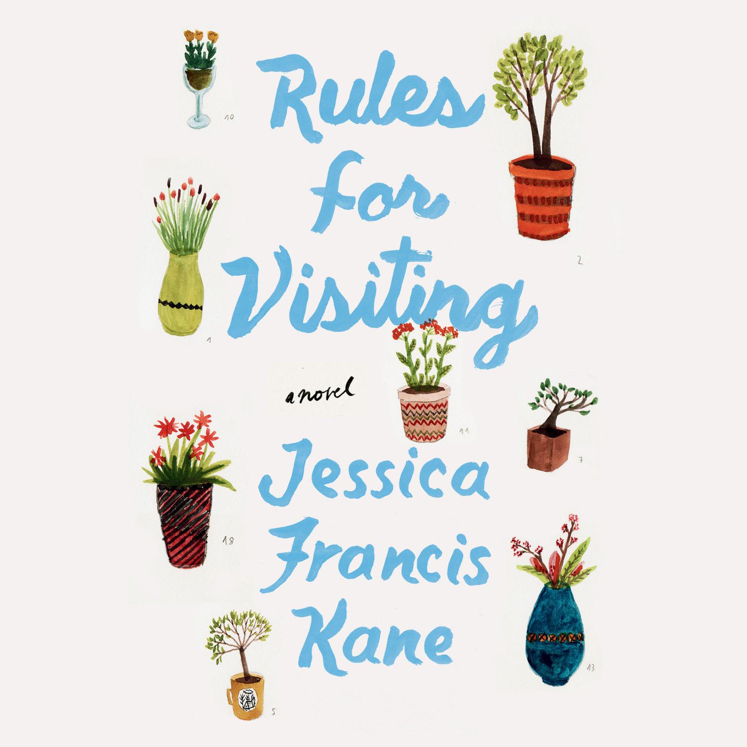 Rules for Visiting: A Novel Audiobook, by Jessica Francis Kane