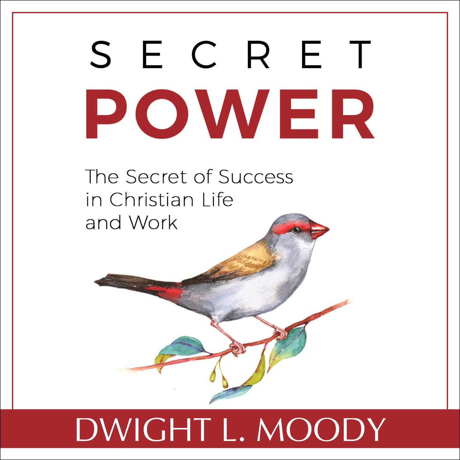Secret Power - The Secret of Success in Christian Life and Work Audiobook, by Dwight L. Moody
