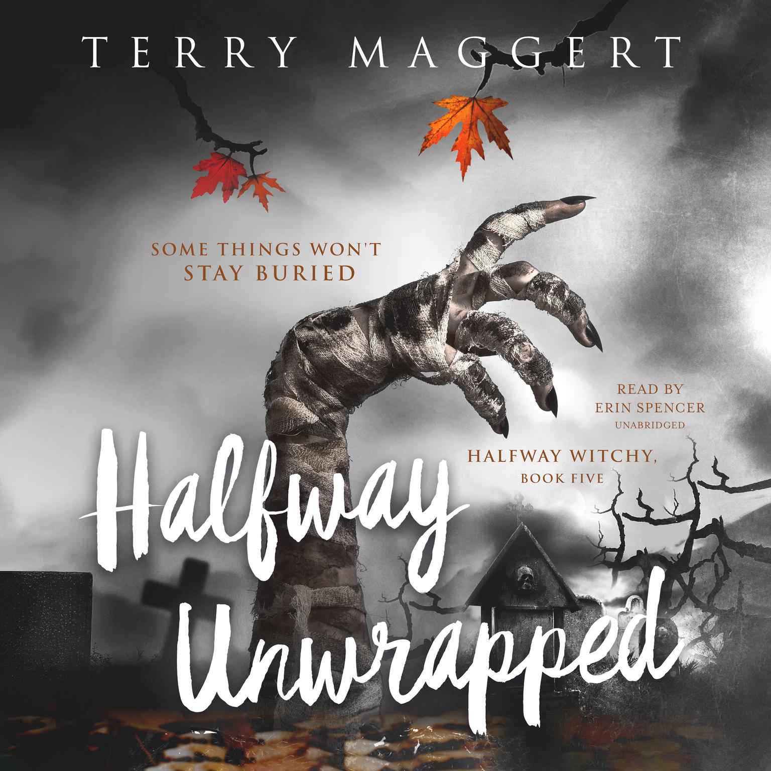 Halfway Unwrapped Audiobook, by Terry Maggert