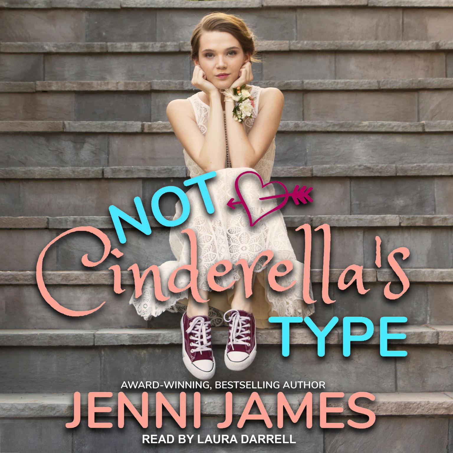 Not Cinderellas Type Audiobook, by Jenni James