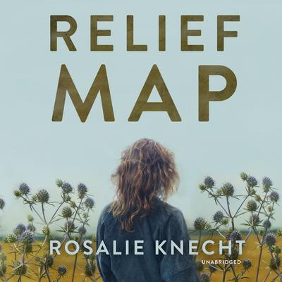 Relief Map Audiobook, by Rosalie Knecht