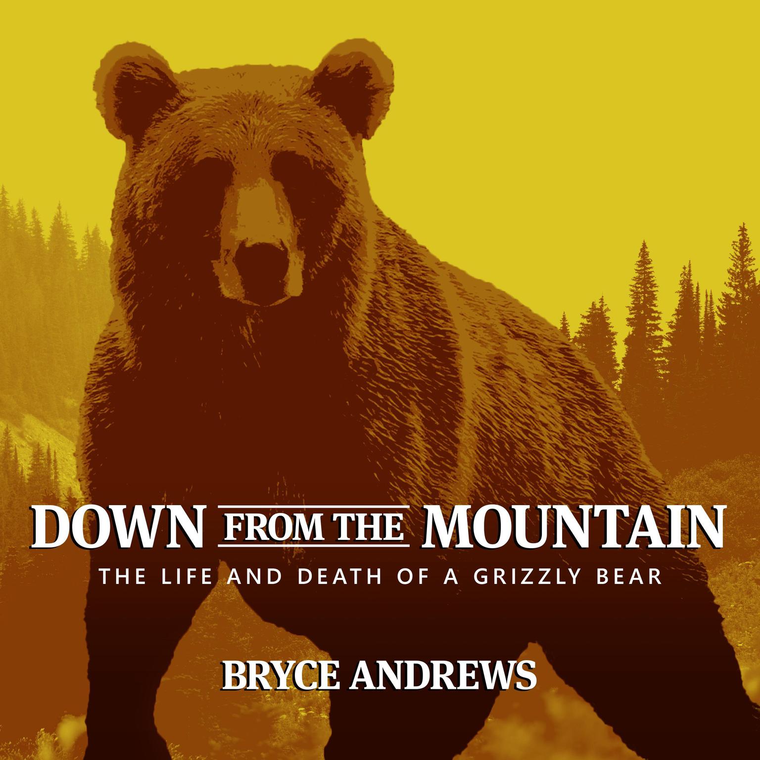 Down from the Mountain: The Life and Death of a Grizzly Bear Audiobook, by Bryce Andrews