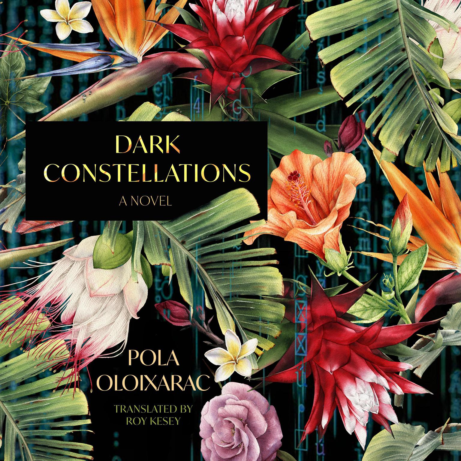 Dark Constellations Audiobook, by Pola Oloixarac