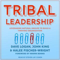 Tribal Leadership: Leveraging Natural Groups to Build a Thriving Organization Audiobook, by 