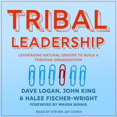 Tribal Leadership: Leveraging Natural Groups to Build a Thriving Organization Audiobook, by Dave Logan