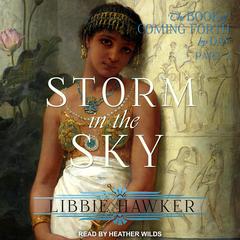 Storm in the Sky Audiobook, by Libbie Hawker