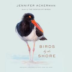 Birds by the Shore: Observing the Natural Life of the Atlantic Coast Audiobook, by Jennifer Ackerman