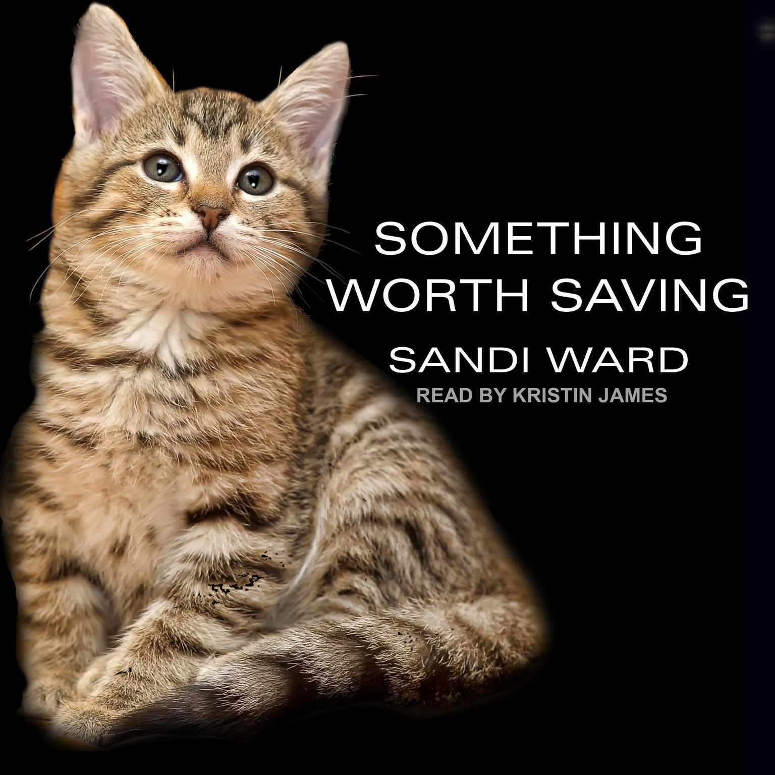 Something Worth Saving Audiobook, by Sandi Ward