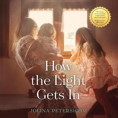 How the Light Gets In Audiobook, by Jolina Petersheim