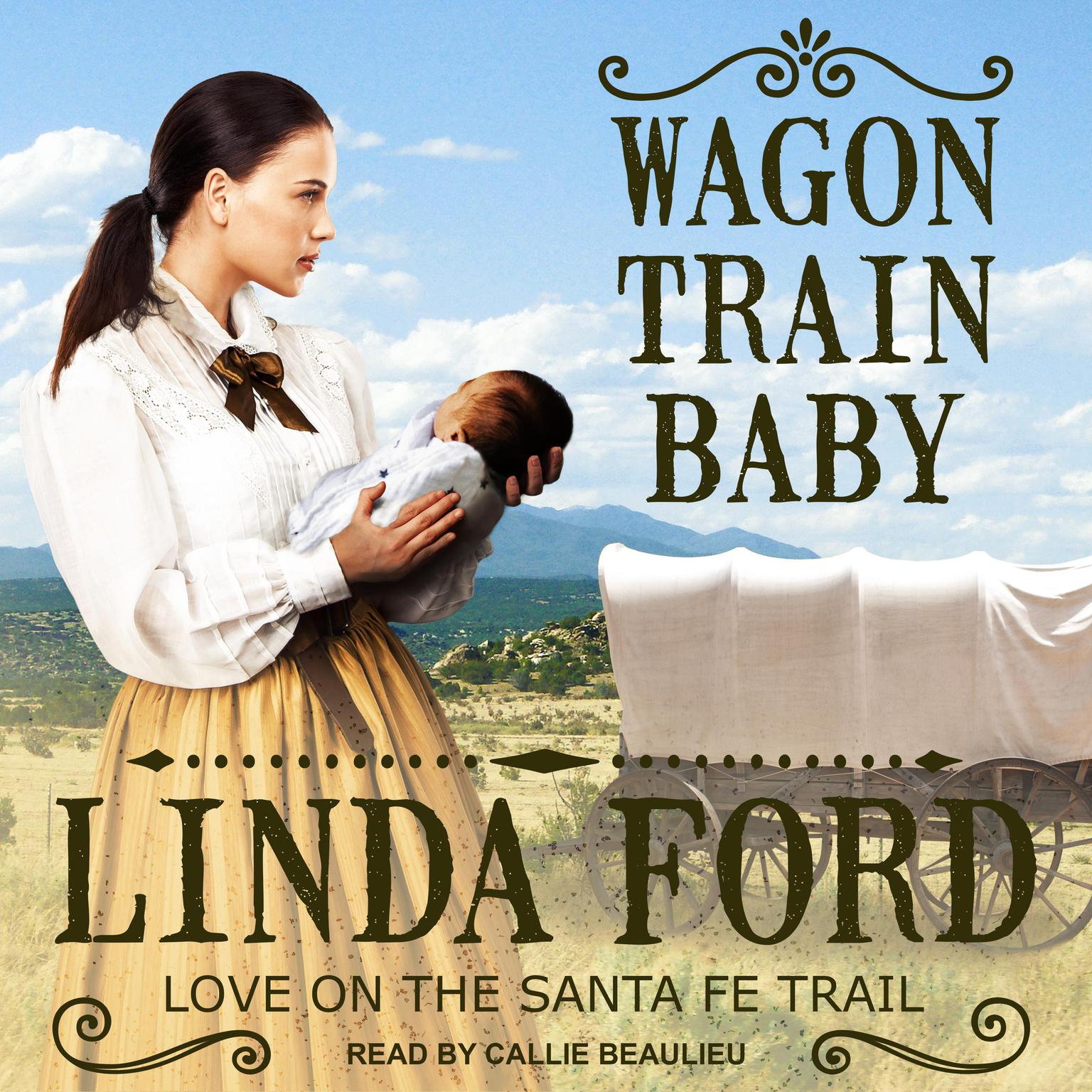 Wagon Train Baby Audiobook, by Linda Ford