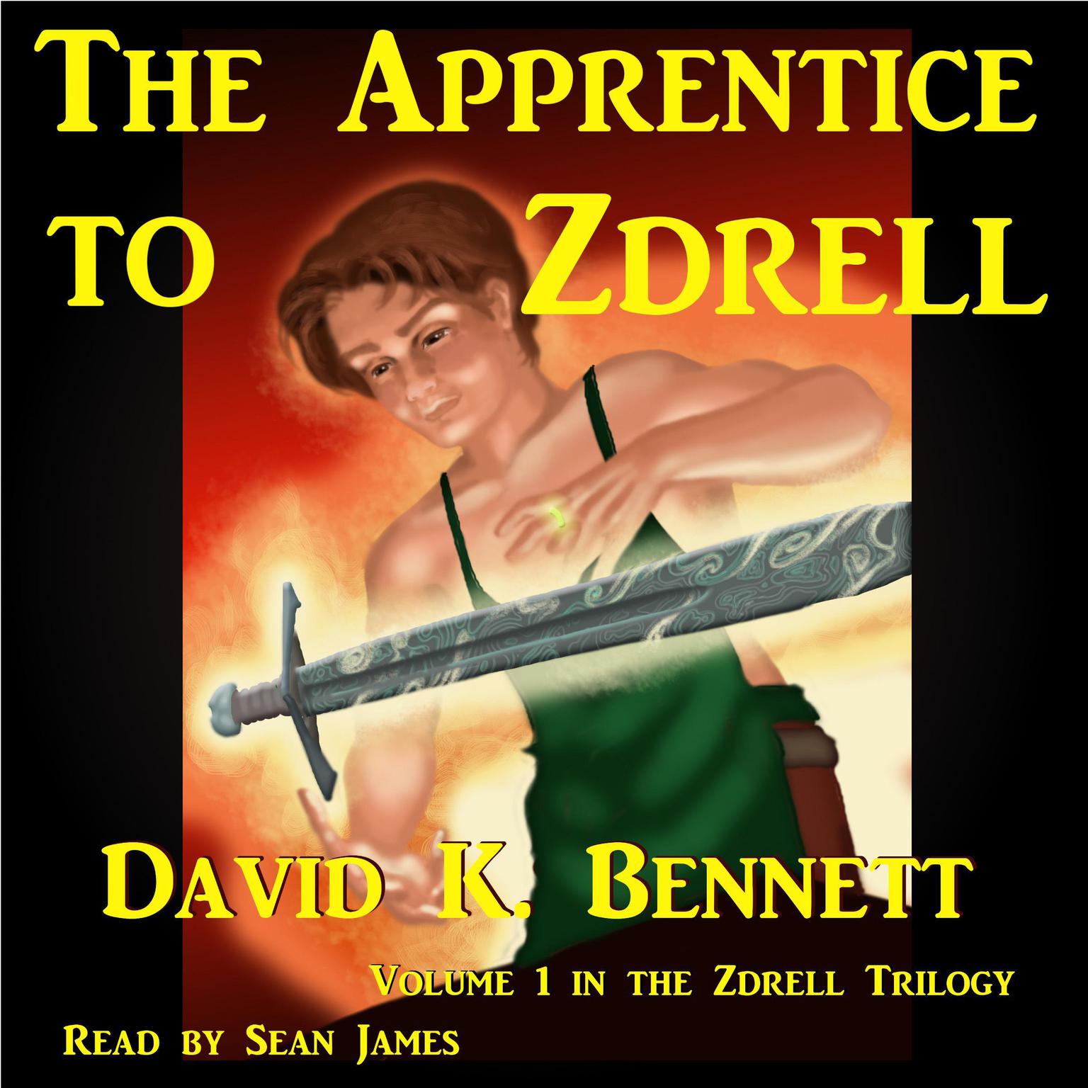 The Apprentice to Zdrell Audiobook, by David K. Bennett