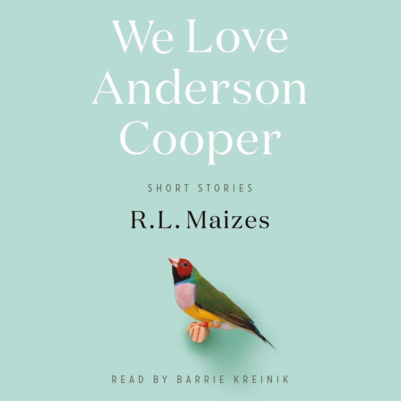 We Love Anderson Cooper: Short Stories Audiobook, by R.L. Maizes