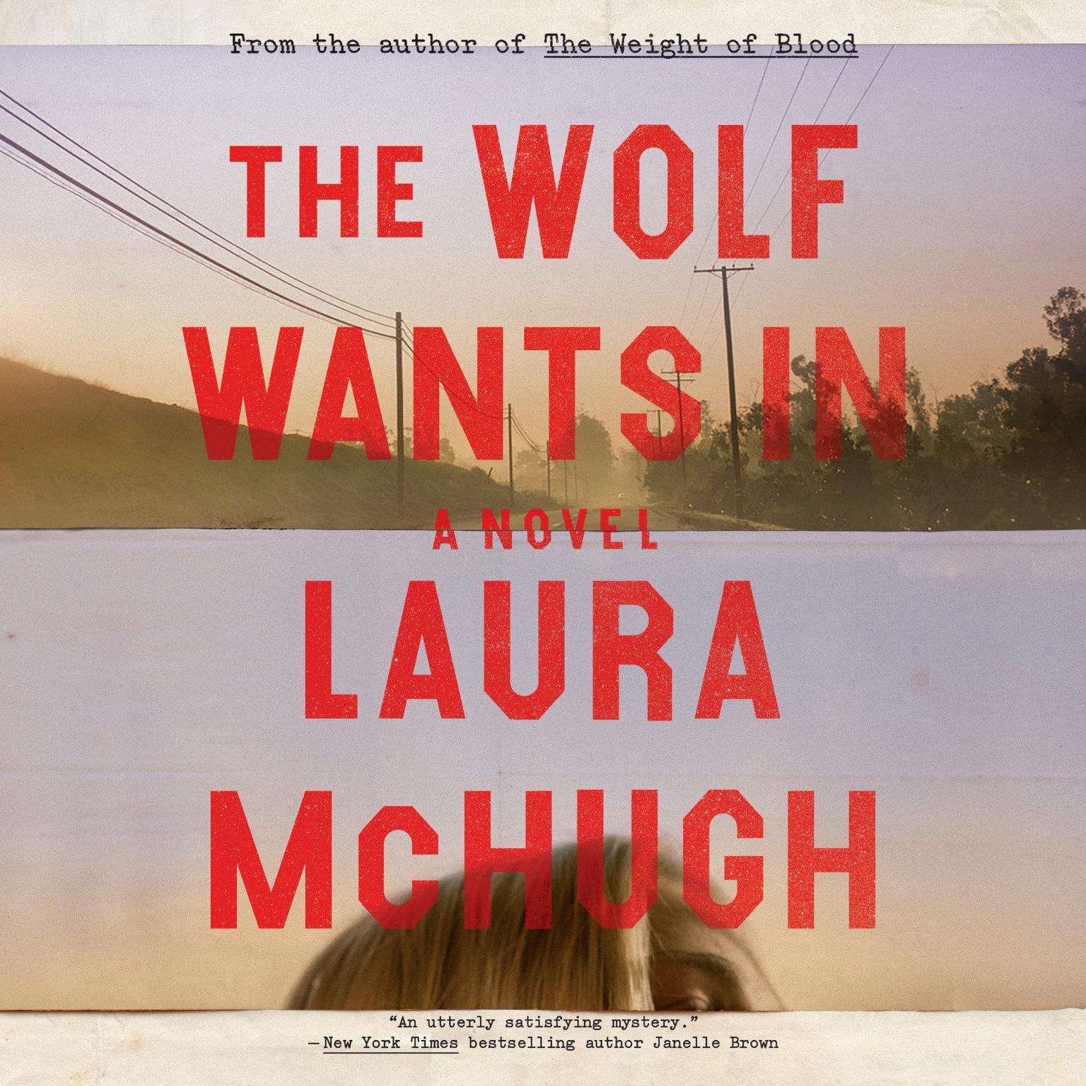 The Wolf Wants In: A Novel Audiobook, by Laura McHugh