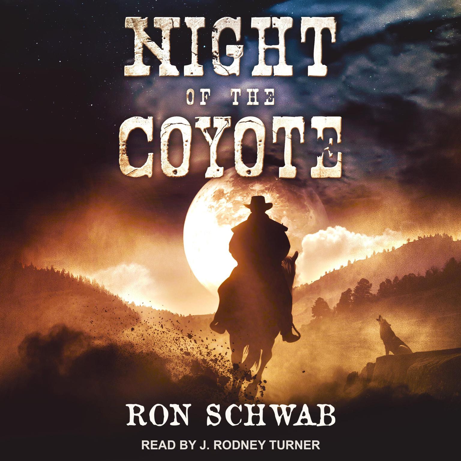 Night of the Coyote Audiobook, by Ron Schwab