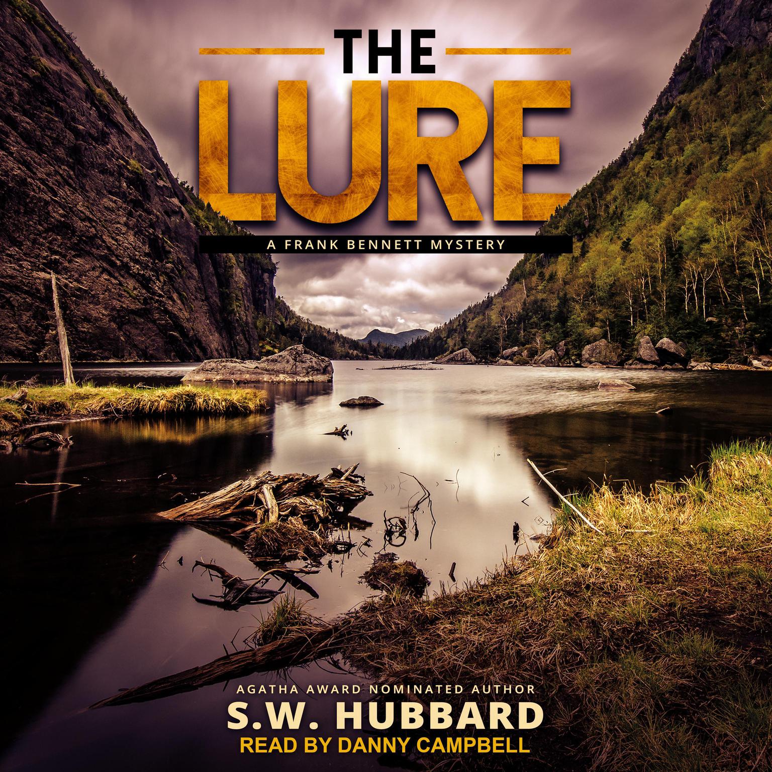 The Lure Audiobook, by S. W. Hubbard
