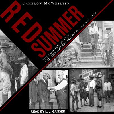Red Summer: The Summer of 1919 and the Awakening of Black America Audiobook, by Cameron McWhirter