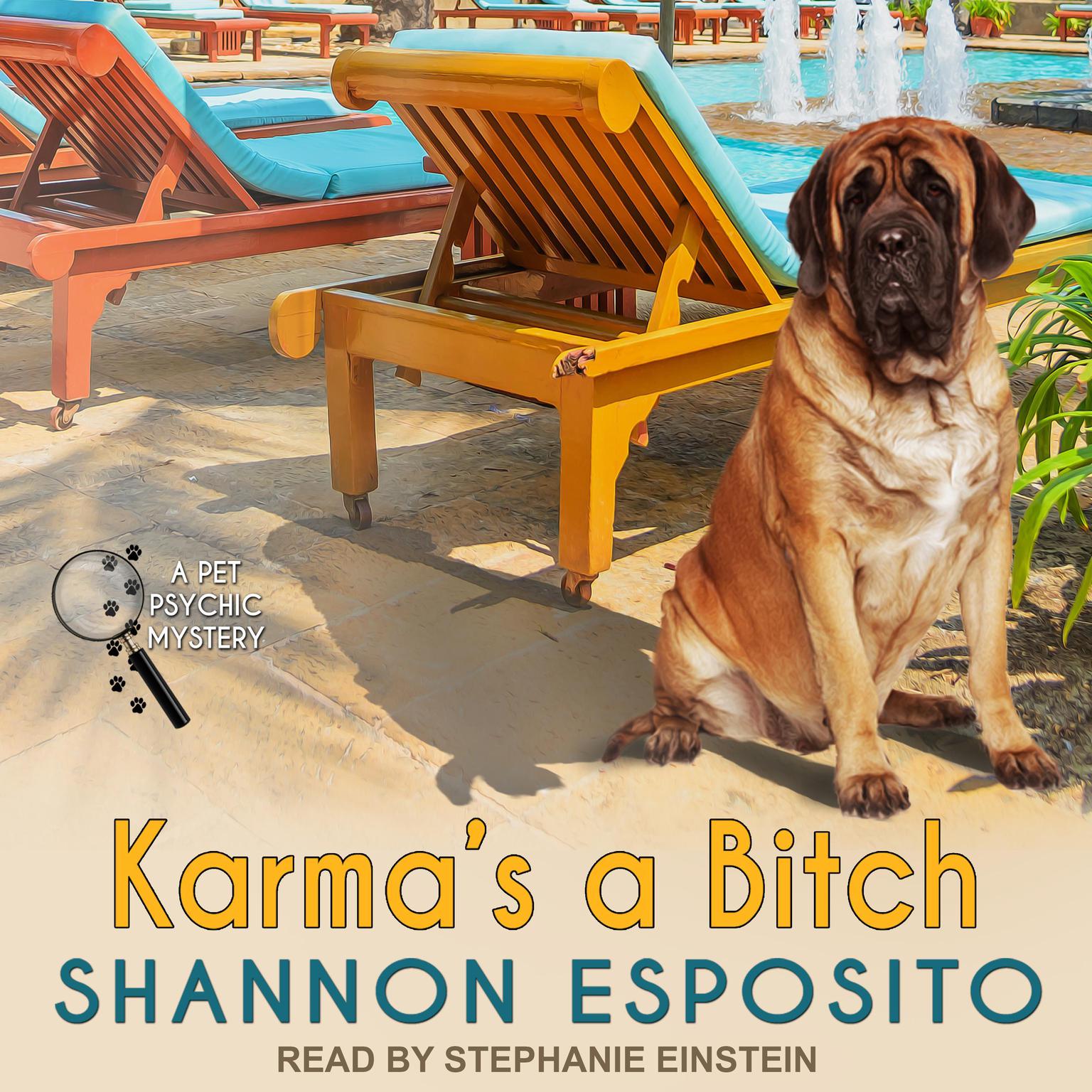 Karmas A Bitch Audiobook, by Shannon Esposito