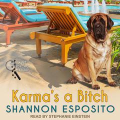 Karma's A Bitch Audiobook, by 