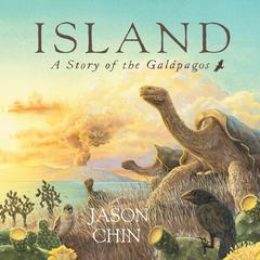 Island: A Story of the Galápagos Audiobook, by Jason Chin