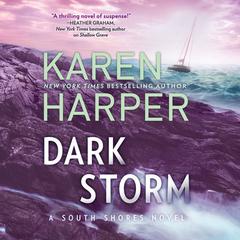 Dark Storm Audiobook, by Karen Harper