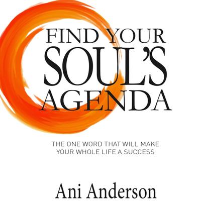 Find Your Souls Agenda: The one word that will make your whole life a success Audiobook, by Ani Anderson