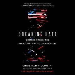 Breaking Hate: Confronting the New Culture of Extremism Audiobook, by Christian Picciolini
