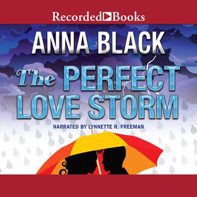 The Perfect Love Storm Audiobook, by Anna Black