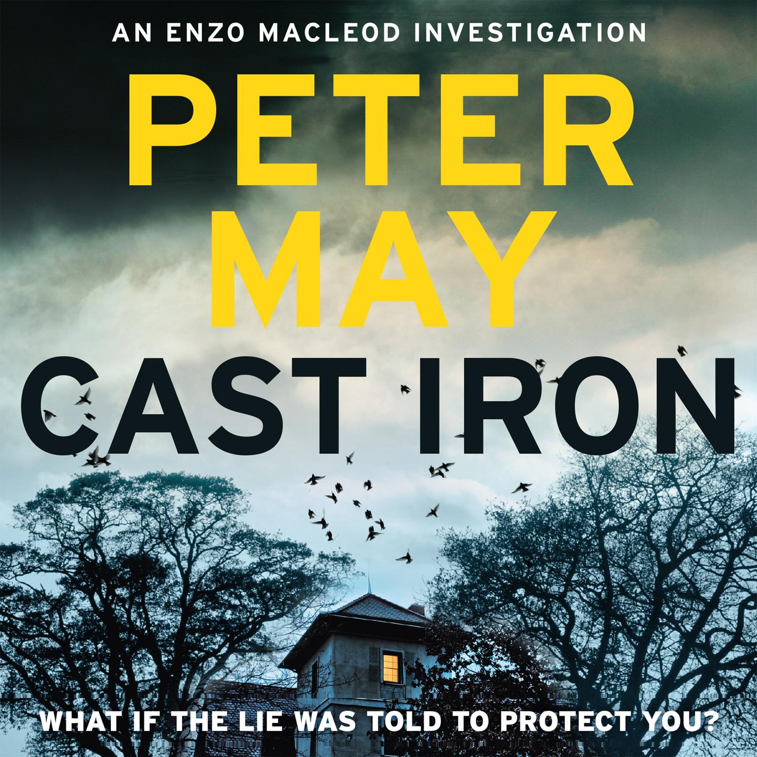 Cast Iron Audiobook, by Peter May