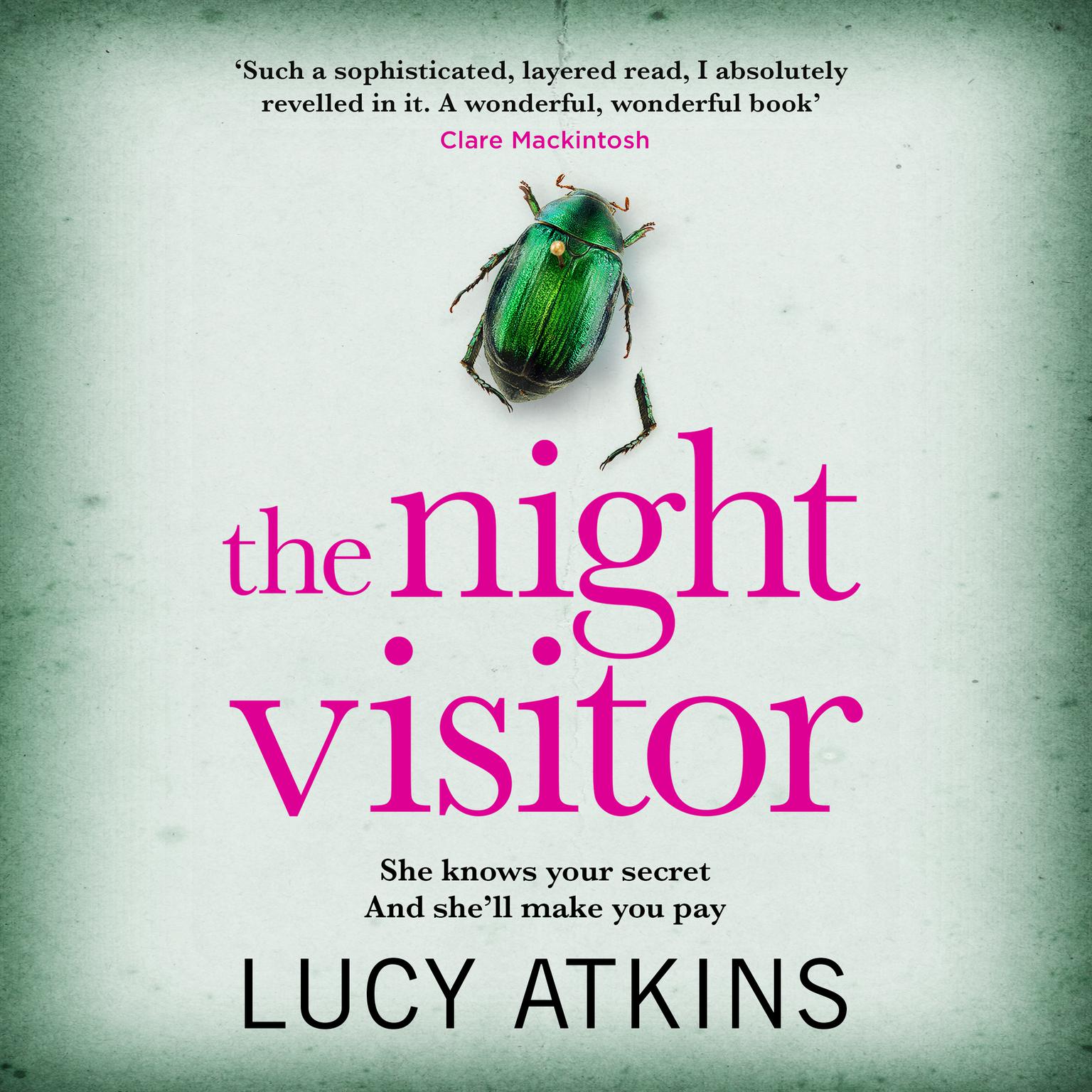 The Night Visitor Audiobook, by Lucy Atkins