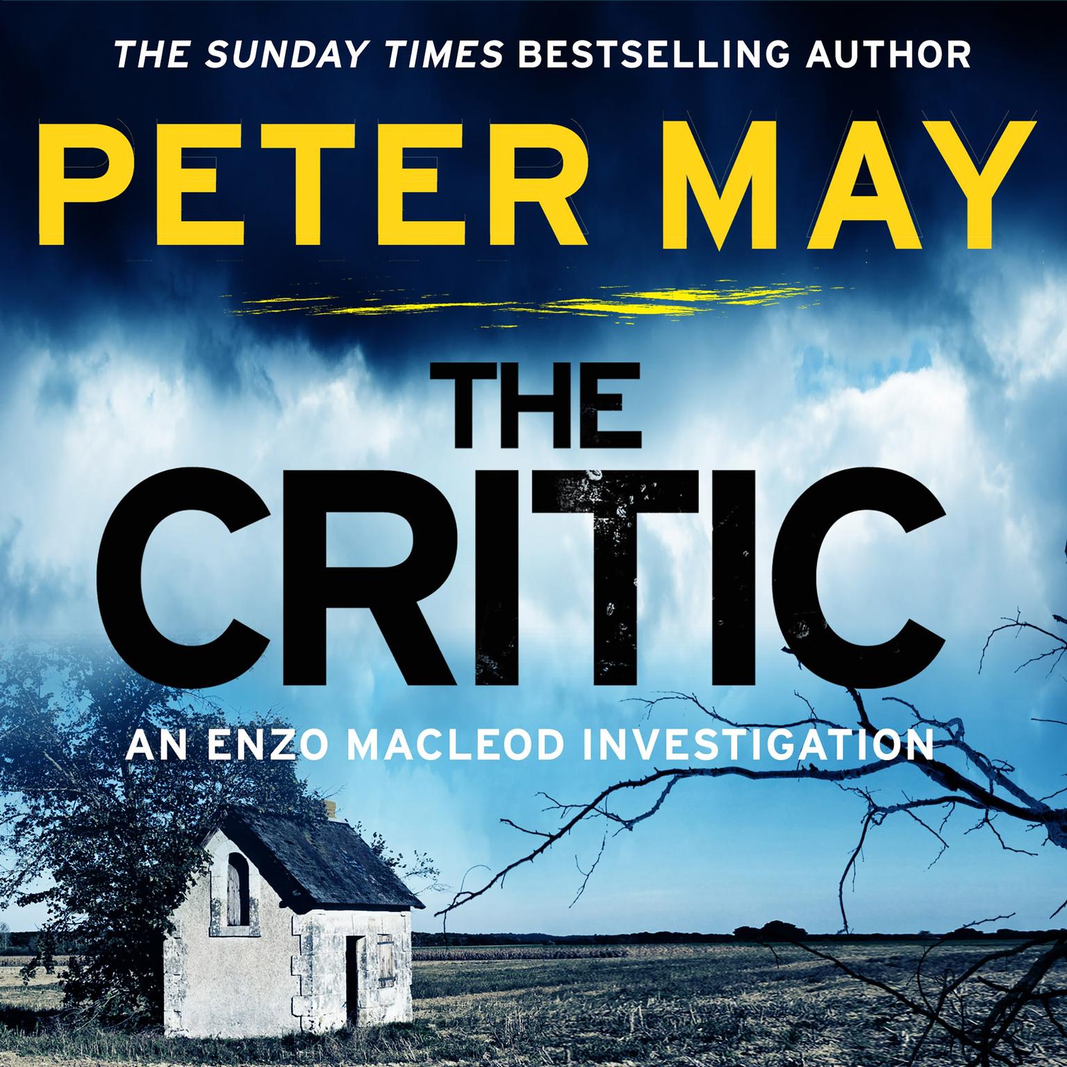 The Critic Audiobook, by Peter May
