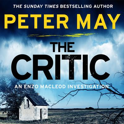 The Critic Audiobook, by 