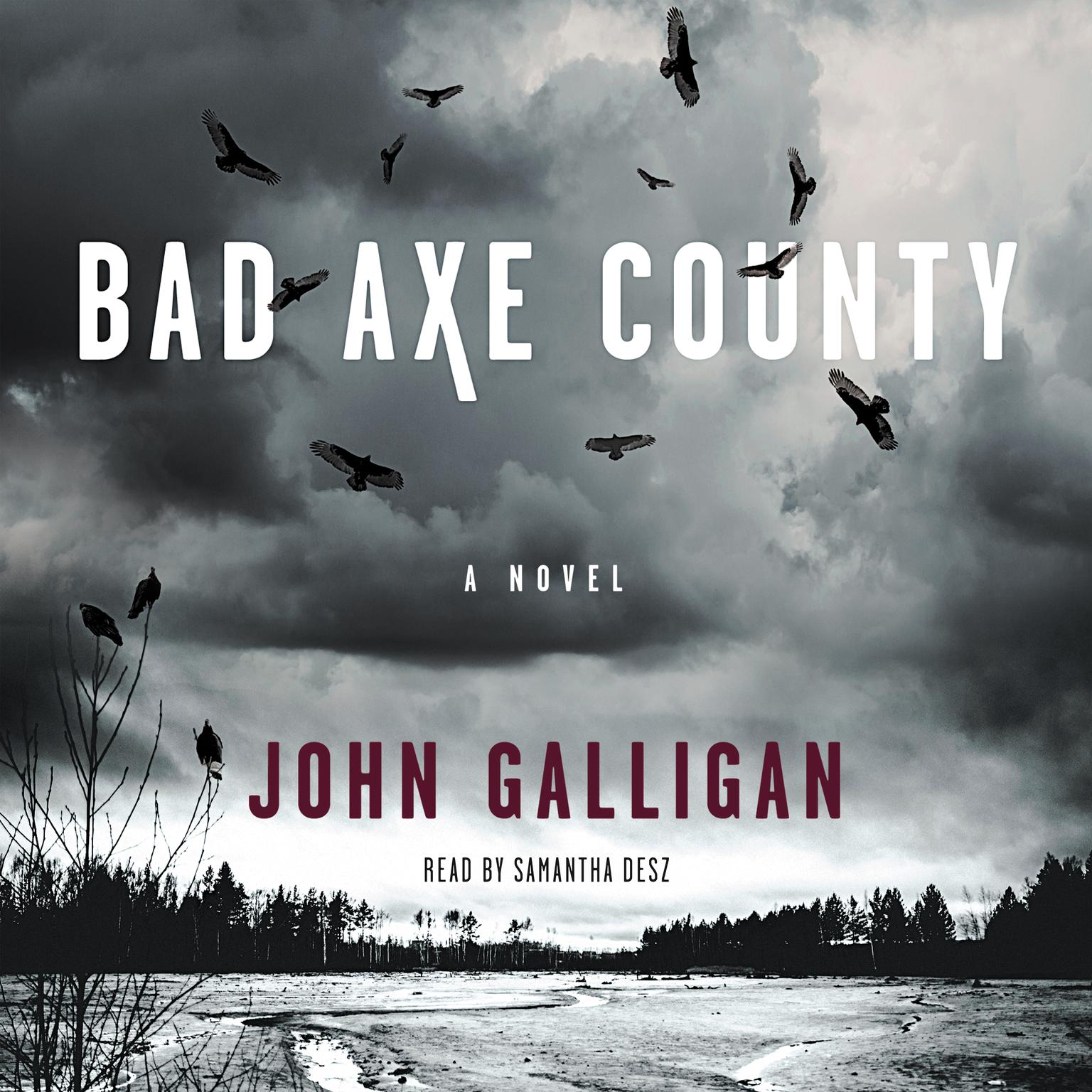Bad Axe County: A Novel Audiobook, by John Galligan
