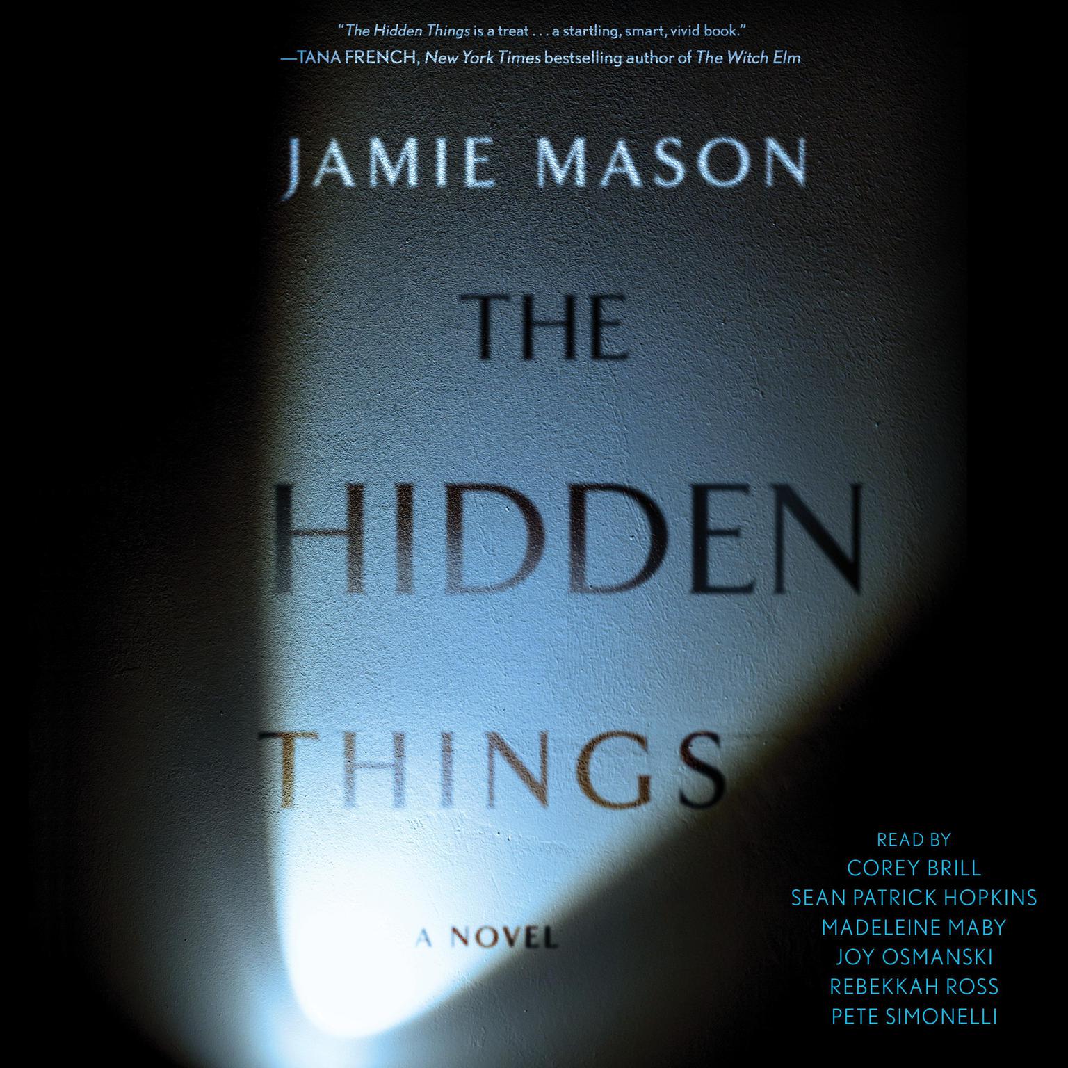 The Hidden Things Audiobook, by Jamie Mason