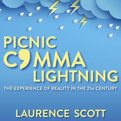 Picnic Comma Lightning: The Experience of Reality in the Twenty-First Century Audiobook, by Laurence Scott