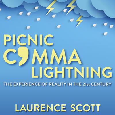Picnic Comma Lightning: The Experience of Reality in the Twenty-First Century Audiobook, by Laurence Scott